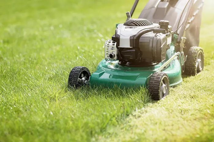 Can You Mow Wet Grass in Lowell, MA