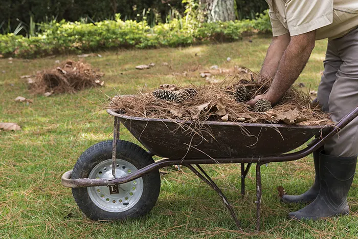 How To Clean A Backyard in Lowell, MA