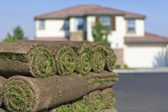 How long after installing sod can you walk on it in Lowell, MA