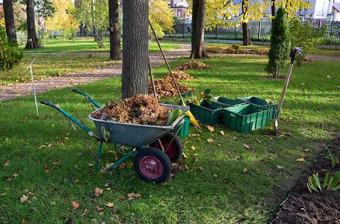 How to clear a yard full of weeds in Lowell, MA