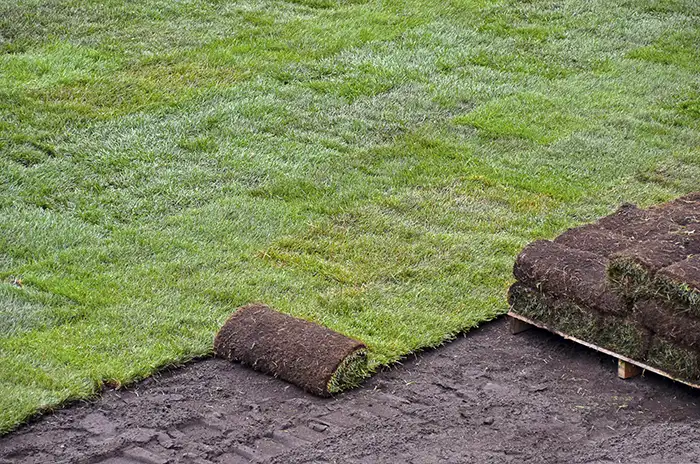 How to lay sod over existing lawn in Lowell, MA