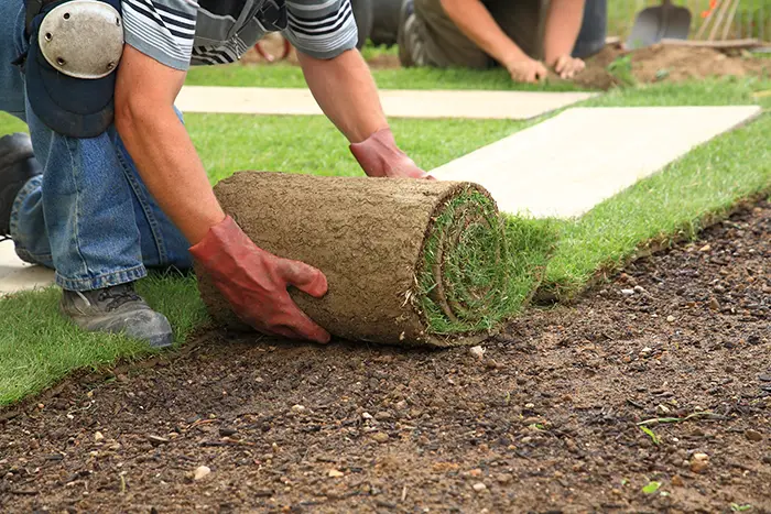 How to lay sod over existing lawn in Lowell, MA