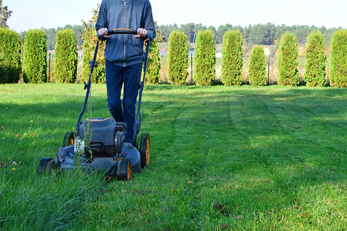 Lawn Mowing in Lowell, MA