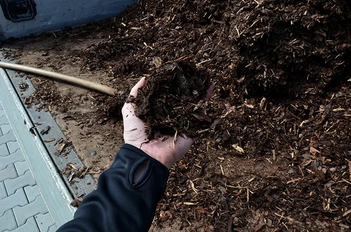 Mulching in Lowell, MA