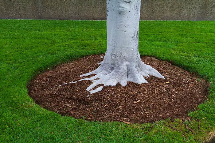 Mulching in Lowell, MA