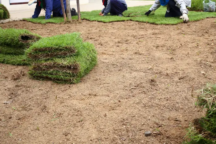 Sod Installation  in Lowell, MA