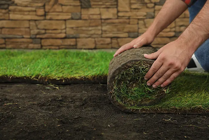 Sod Installation  in Lowell, MA