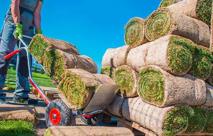 Sod Installation  in Lowell, MA