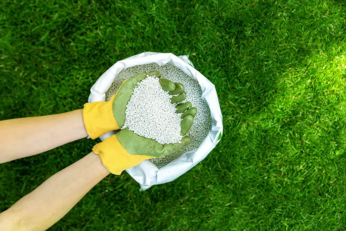 When is the best time to fertilize your lawn in Lowell, MA