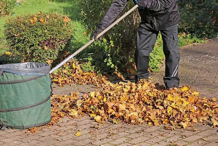 Yard Cleanup in Lowell, MA