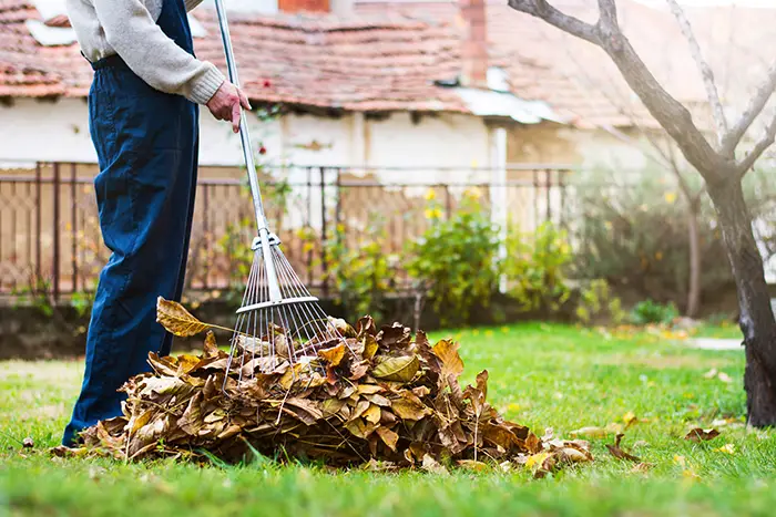 Yard Cleanup in Lowell, MA