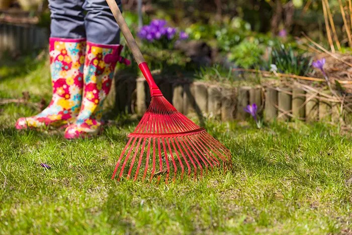 Yard Cleanup in Lowell, MA